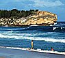 Tourist play on the Shipwrecks beach while watching surfers take of on a wave