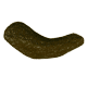 sea_cucumber