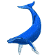 kohola